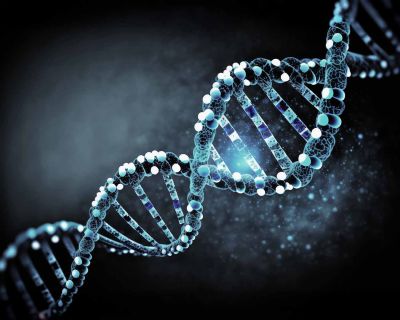 RNA TEDAVİLARİNDE DEVRİM YENİ YAZILIM SÜRECİ HIZLANDIRIYOR