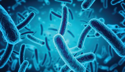 Bakteriler Metandan Elektrik Üretiyor