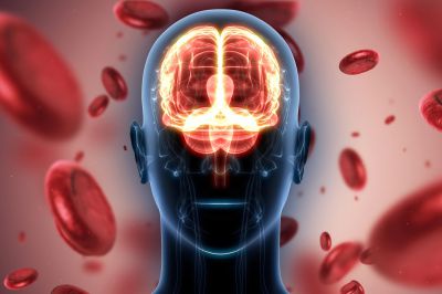 İnsan Beynine Kan Taşıyan Hücrelerin Yeni Kapsamlı Atlası