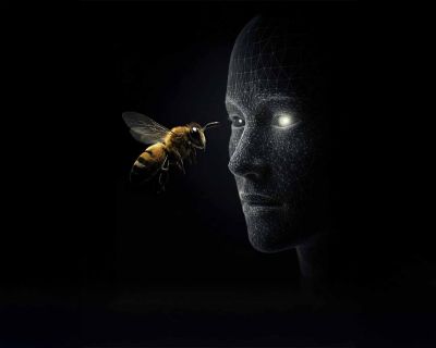 Arıların Şaşırtan Yeteneği: Yüz Benzeri Desenleri Tanıyabiliyorlar