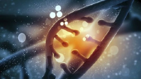 Yeni bir genetik kod bulundu