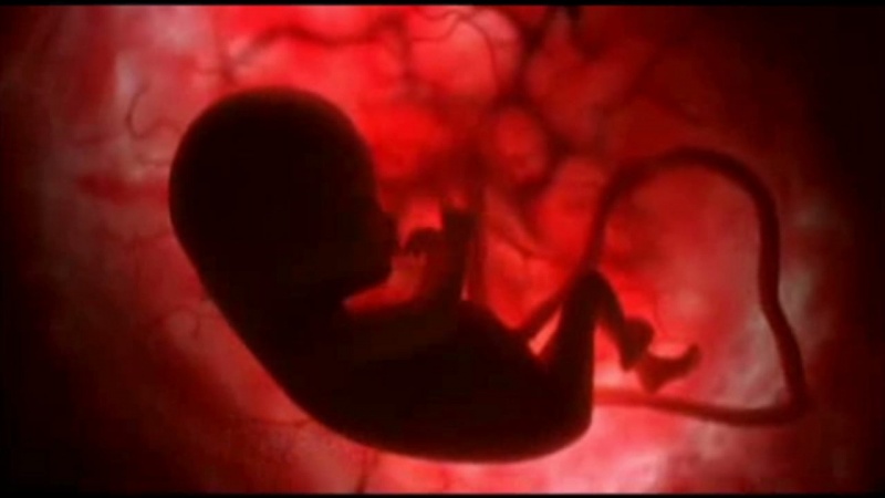 İnsan Embriyosunda Genetik Değişiklik İzni