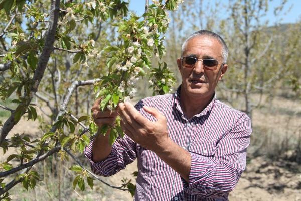 Süleyman Demirel Üniversitesi Öğretim Üyesi 3 Yeni Tür Geliştirdi