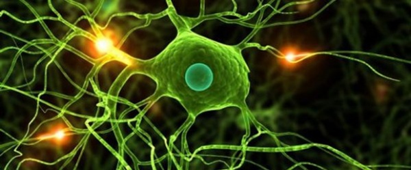 Nobel Tıp Ödülü’ne de konu olan 'otofaji' ile tedavi önerisi