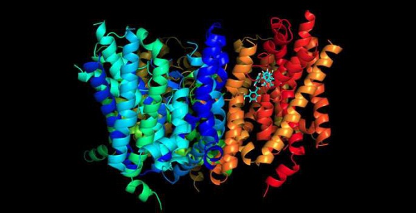 Kanser hücrelerinin çoğalmasını engelleyen yöntem geliştirildi