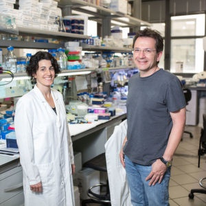 Otizm ile ilişkili anahtar protein bulundu!