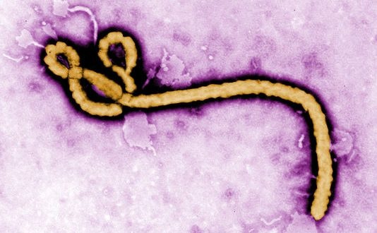 Merck’in Geliştirdiği Ebola Aşısı Etkisini Gösterdi