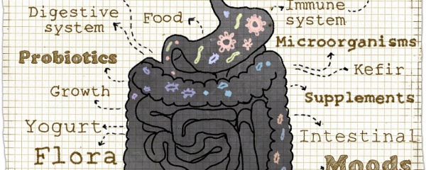 Bağırsak Sağlığı Multipl Skleroz'un İlerlemesini Nasıl Etkiliyor