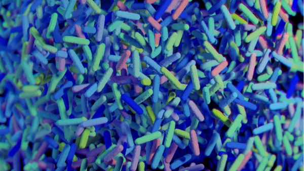 Bağırsaktaki virüsler Parkinson hastalığının gelişmesinde rol oynuyor olabilir