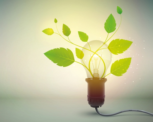 BİLİM İNSANLARI BİTKİLERDEN ENERJİ ÜRETTİ