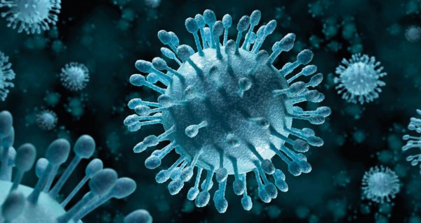 DEV VİRÜSLER NASIL ENFEKTE EDİYOR?