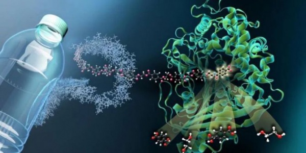 PLASTİK YİYEN BAKTERİLERİN HIZI 6 KATINA ÇIKTI