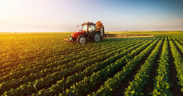 ÜLKE NÜFUSU ARTARKEN SEBZE ÜRETİM ALANLARI AZALIYOR!