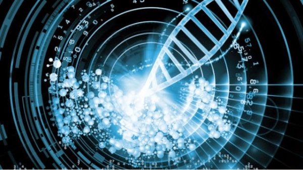 Geliştirilen Yarı Sentetik Organizma: Yaşama En Yakın Genetik Sentez