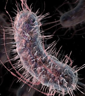 Mutant Bakteriler Hastalığınıza Göre İdrarınıza Renk Verecek