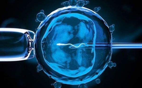 4 yıl önce trafik kazasında ölen çiftin bebeği oldu