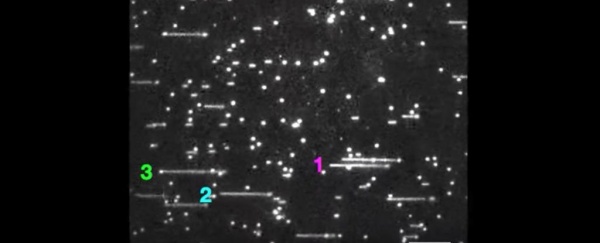 DNA Çoğalması İlk Kez Çekildi : Sonuçlar Beklediğimiz Gibi Değildi !
