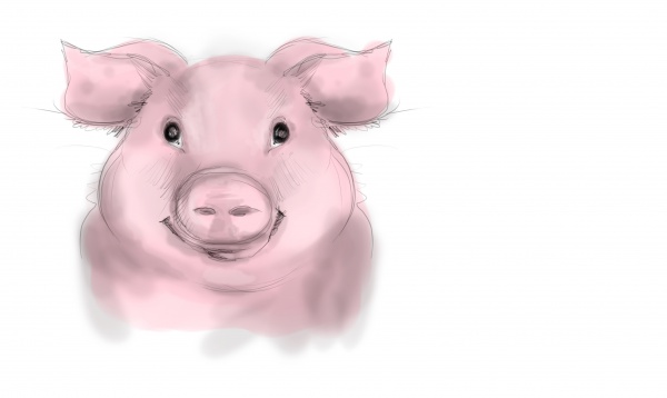 DOMUZUN BEYİN HÜCRESİ, ÖLÜMÜNDEN DÖRT SAAT SONRA KISMEN CANLANDIRILDI