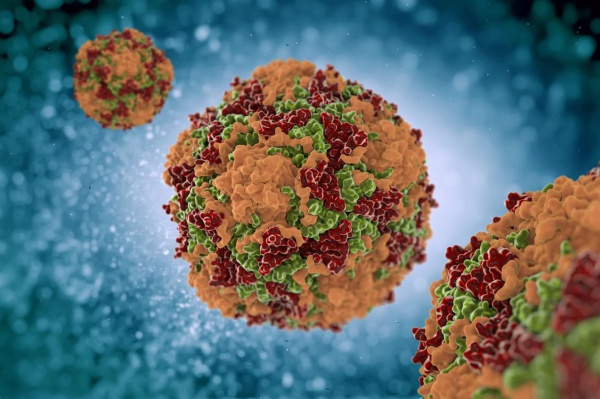 KANSERİN ÇARESİ VİRÜSLER Mİ?