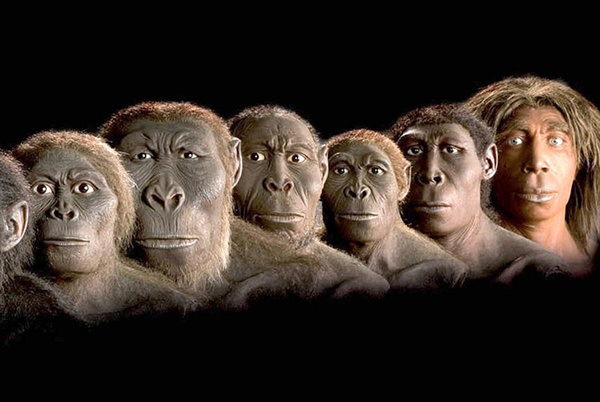 “İnsan evriminin kanıtları avucumuzun içinde!”