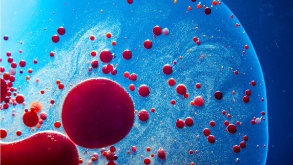 Devrim yaratacak yeni kanser kan testi sıtma paraziti tarafından üretilen bir proteine dayanıyor