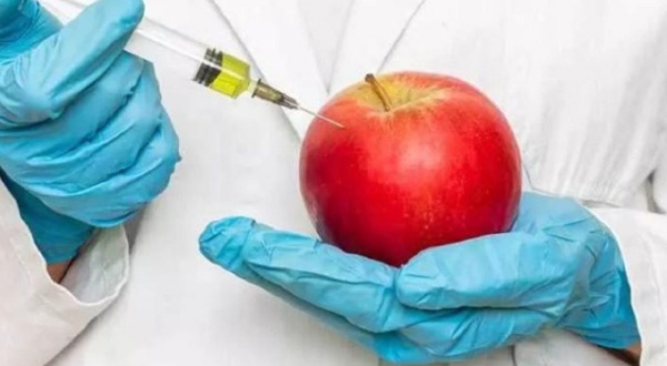 NOBELLİ BİLİMCİLER; “GDO GÜVENLİDİR”