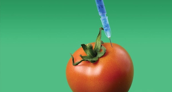 GDO’lar Dünyayı Kurtarabilir Mi?