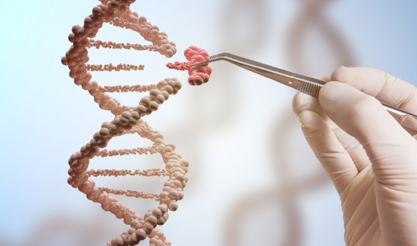 Hayatın eksik parçası bulundu