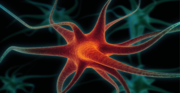 Kaybolan Gizemli Beyin Hücreleri