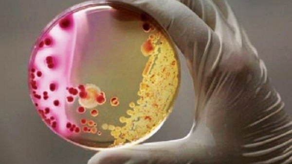 Mikrobiyom haritası: İnsana dair yeni bir kavram ortaya çıktı!