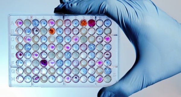 ORGANİK MOLEKÜLLERE VERİ DEPOLAYAN SİSTEM, 1000 YIL VERİ SAKLAYABİLİYOR