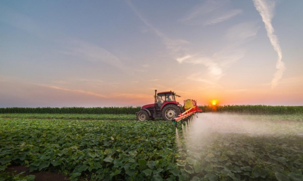 TÜRKİYE’NİN PESTİSİT GERÇEĞİ