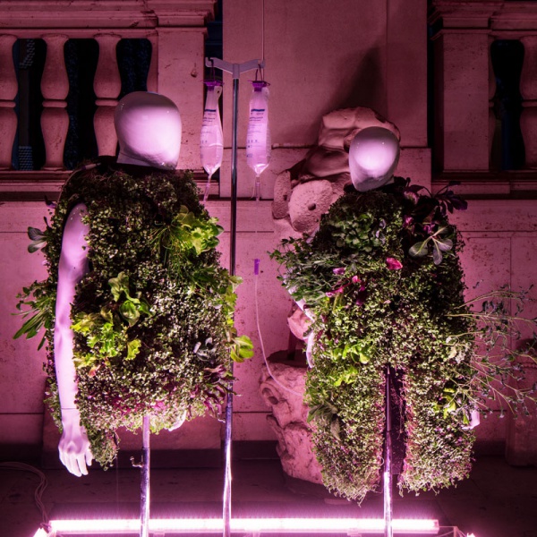 GİYİLEBİLİR PEYZAJ SİSTEMİ