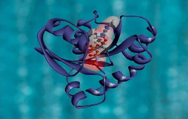 KANSERİN YAYILMASINI ÖNLEYEN VE EPİLEPSİYİ TEDAVİ EDEN ANAHTAR MOLEKÜL