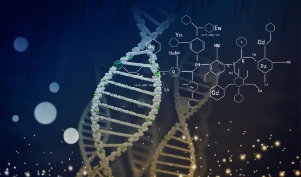 Kanser Hücrelerini Hedefleyen DNA Robotları