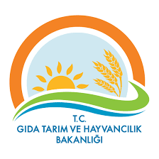 logo_1