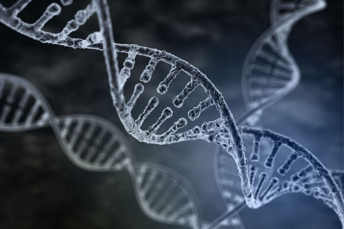 Bilim İnsanları Uzun Süren Bir Genomik Gizemi Çözdüler