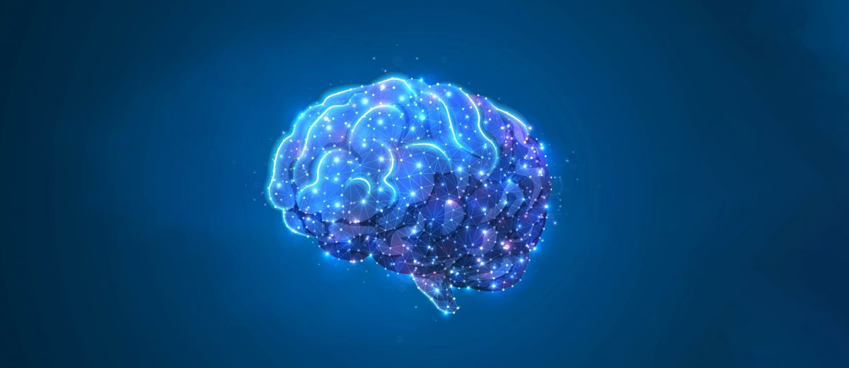 Beyin Şaşırtıcı Olaylara Nasıl Tepki Verir?