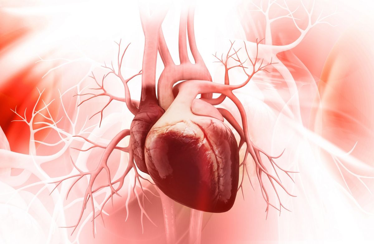 Kalp Krizi Etkilerini Azaltan Yeni Teknik