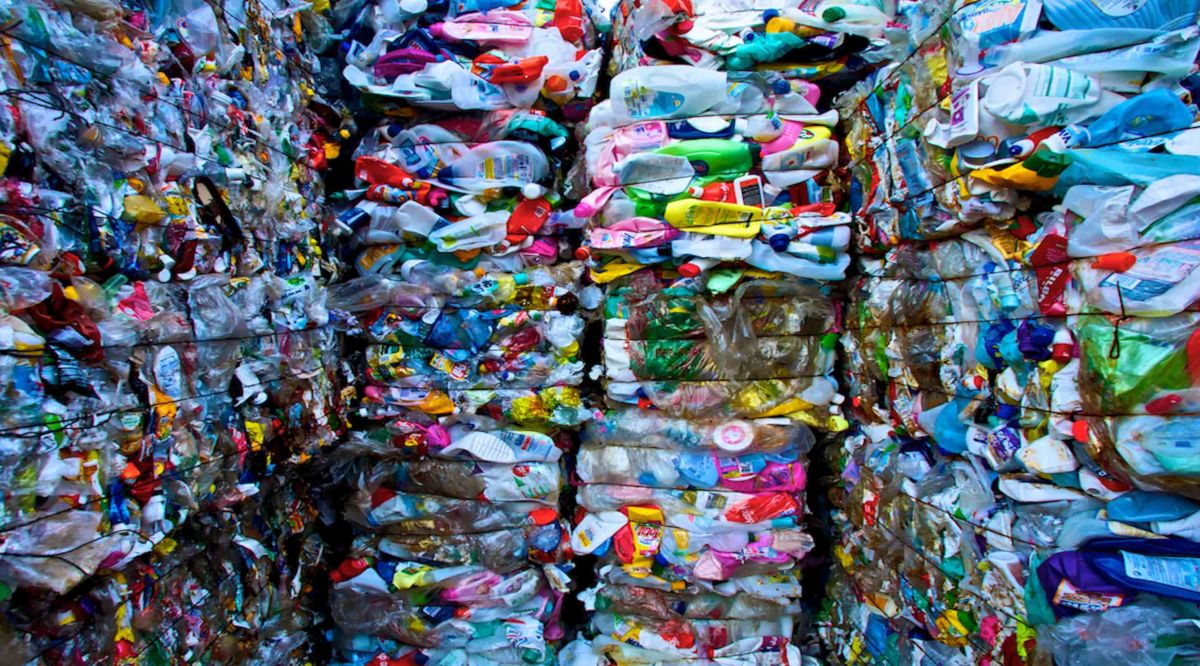 Plastik atıkları parçalayabilen “Süper Solucanlar”
