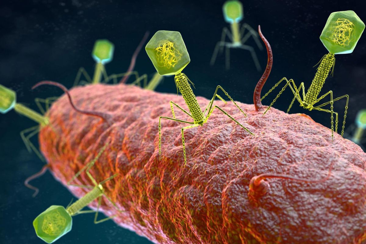 Bakterilerde Tamamen Yeni Bir Bağışıklık Sistemi Keşfedildi