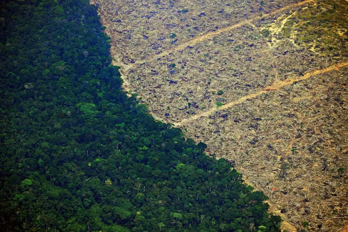 Tropik Ormanlar İçin Tehdit: Altın Madenciliği