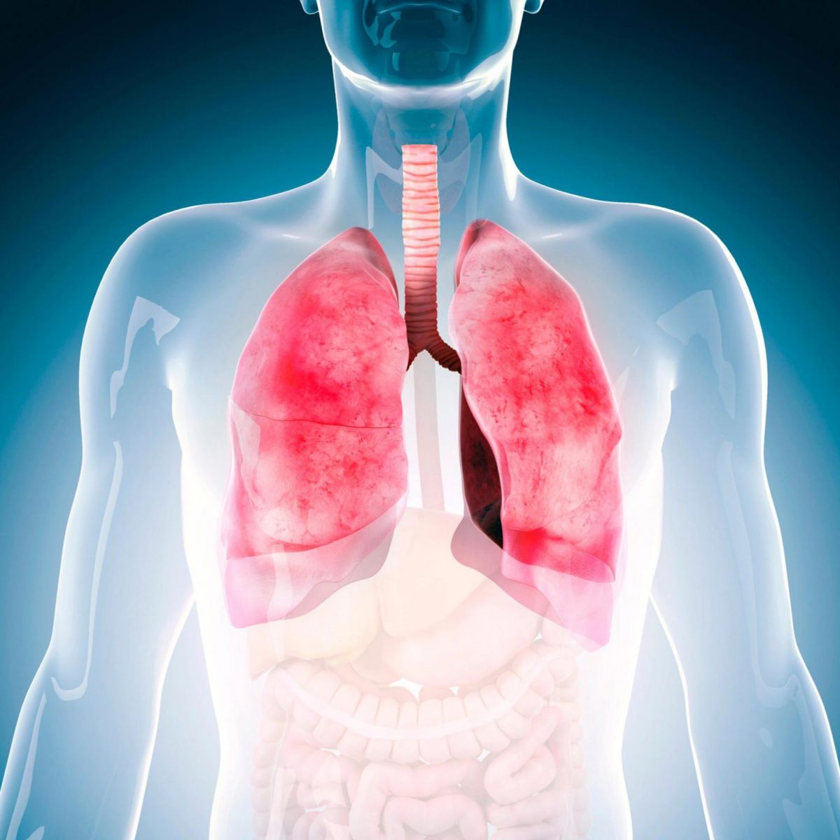 Yeni Deneysel İlaç Akciğer Hastalıkları Olan Kişilere Yardımcı Olabilir