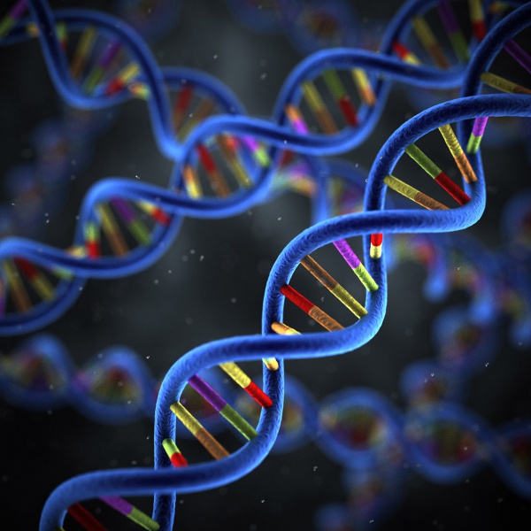 DÜNYADAKİ YAŞAM RNA-DNA KARIŞIMINDAN MI DOĞUYOR?